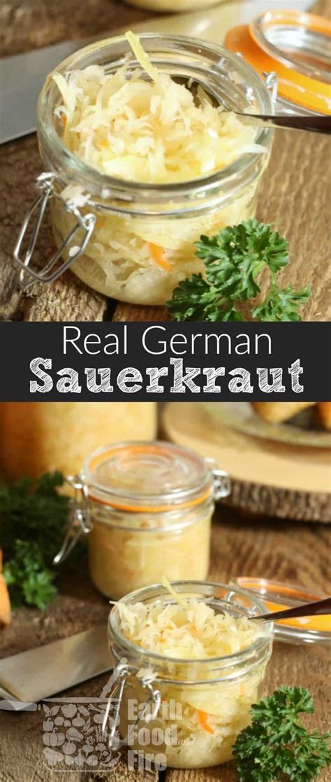 √ Store Bought Sauerkraut Probiotics