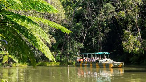 Tropic Wings Cairns Tours And Charters Tropical North Qld