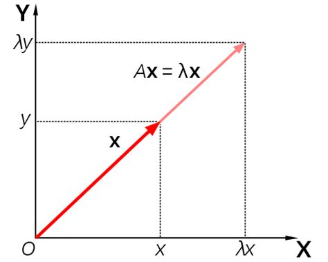 Eigenvalues And Eigenvectors Wikipedia