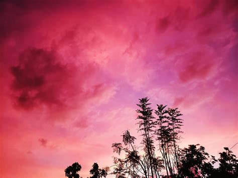 Moringa Sunset Sky By Nativestew On Deviantart