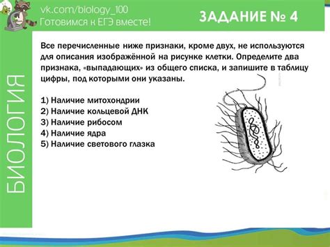 Разбираем полный вариант ЕГЭ по биологии - online presentation