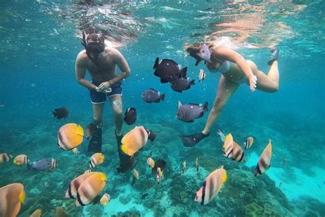 Bali Snorkeling At Bluelagoon Beach With Lunch Private Transport