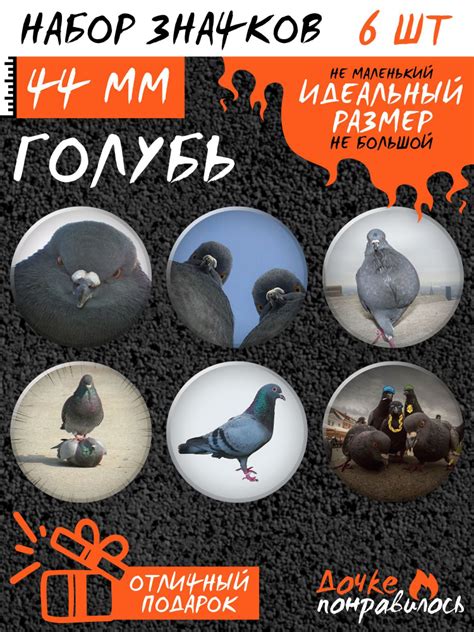 Значки на рюкзак Голубь набор - купить с доставкой по выгодным ценам в ...