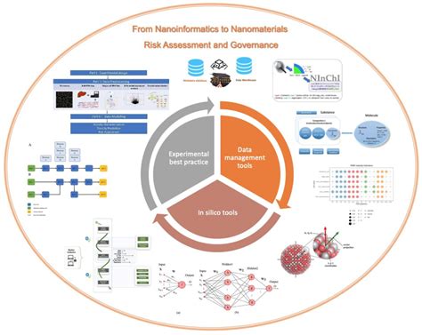 Editorial For The Special Issue From Nanoinformatics To Nanomaterials