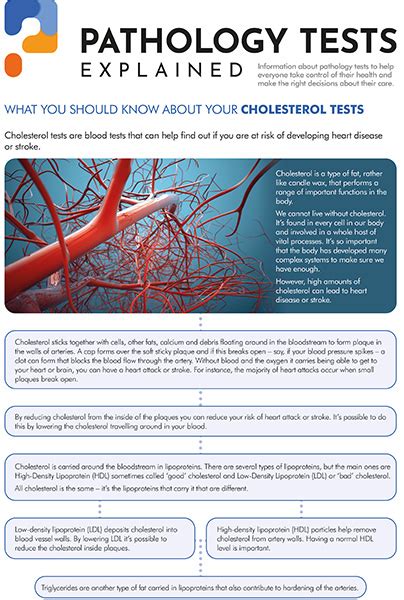 Apolipoprotein A Pathology Tests Explained