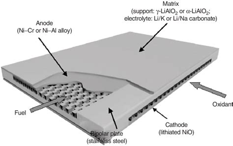 The Molten Carbonate Fuel Cell Mcfc Bipolar Cell Package