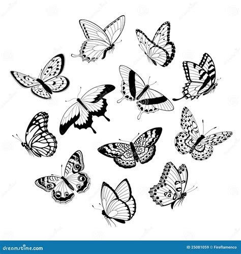 Flying Black And White Butterflies Stock Vector Illustration Of Vector