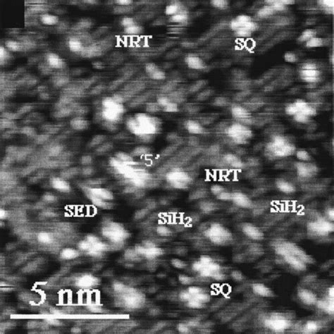 Empty States STM Image Of The Si001 Surface After Exposure To A Small