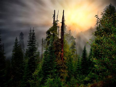 Oregon High Cascades A Captivating Landscape