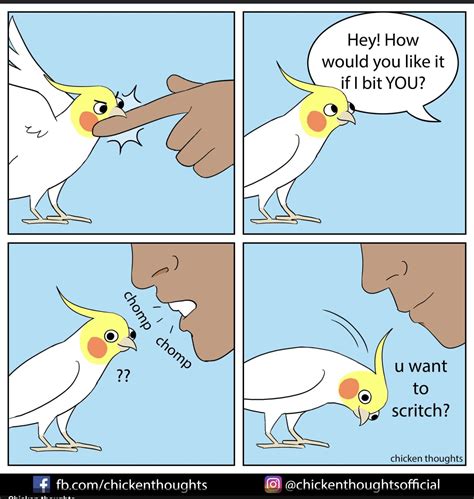 A Comic Strip With An Image Of A Cockatoo Being Touched By Another Bird