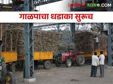 ऊस गाळप सुसाट राज्यात ९ कोटी ९ लाख मेट्रिक टन गाळप Sugarcane