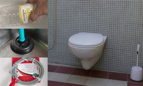 Comment Déboucher Une Canalisation De Toilette En 6 étapes Simples