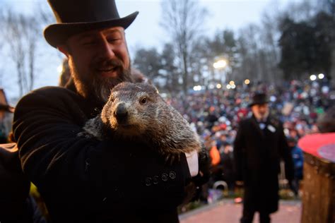 rasdom usa: Punxsutawney Phil Groundhog Day