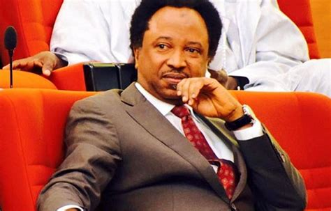 Restructuring Solution To Nigerias Insecurity Problems Shehu Sani