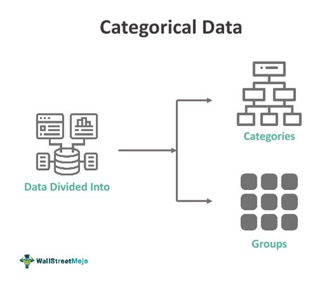 Categorical Data - What Is It, Examples, Types, Vs Numerical Data