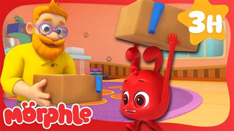 Morphle Bought Some Cheap Cardboard Boxes. They're Tearable! 📦 | Morphle Kids Cartoons - YouTube