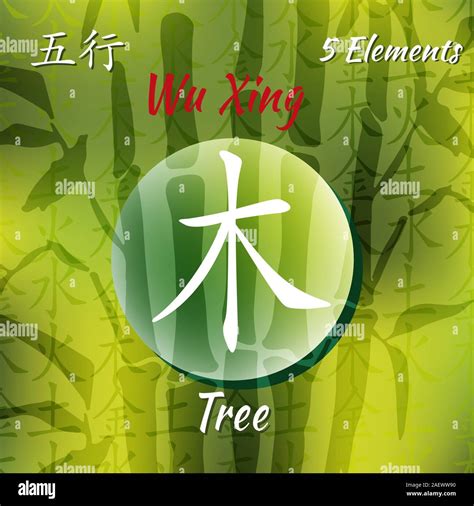 Five Feng Shui Elements Set Chinese Wu Xing Symbols Translation Of