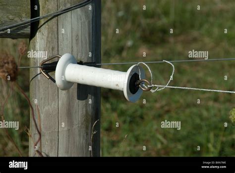 Electric fence gate Stock Photo - Alamy