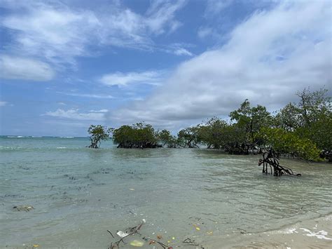 Silver Sand Beach Resort Neil Neil Island Hindistan Otel Yorumları