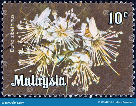 MALAYSIA CIRCA 1979 A Stamp Printed In Malaysia Shows Durio