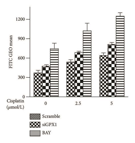 Bay 11 7082 A Nf κb Inhibitor Downregulated Intracellular Ros And