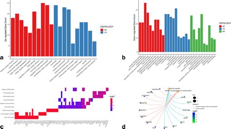 Gene Ontology Analysis Of The De Genes A Top 10 Go Terms Of Each Of Download Scientific