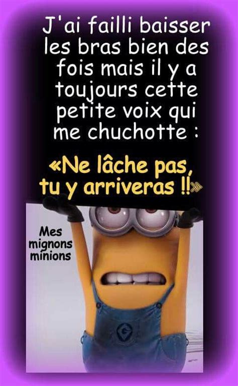 A Minion Holding Up A Sign With The Caption No Lache Pas Tuy Arriversas