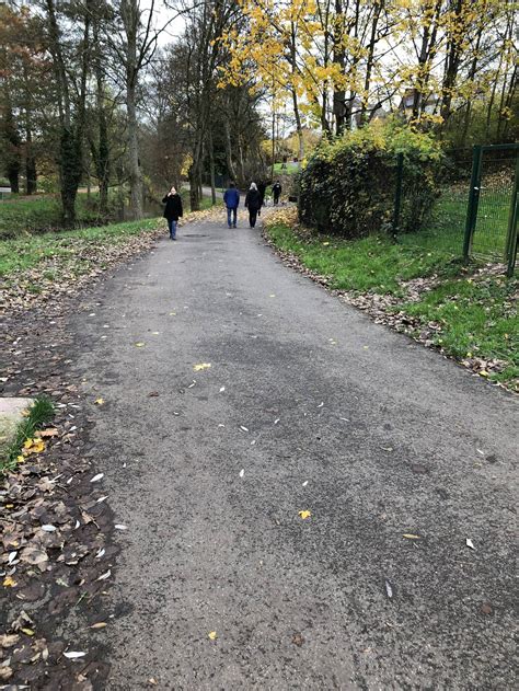 Stadtpark St Ingbert Soll Beleuchtung Bekommen