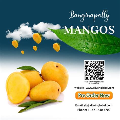 Wondering What Is The Best Place To Buy Indian Mangoes In Washington Dc