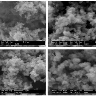 Scanning Electron Micrograph Of Copper Oxide Thin Film A As Prepared