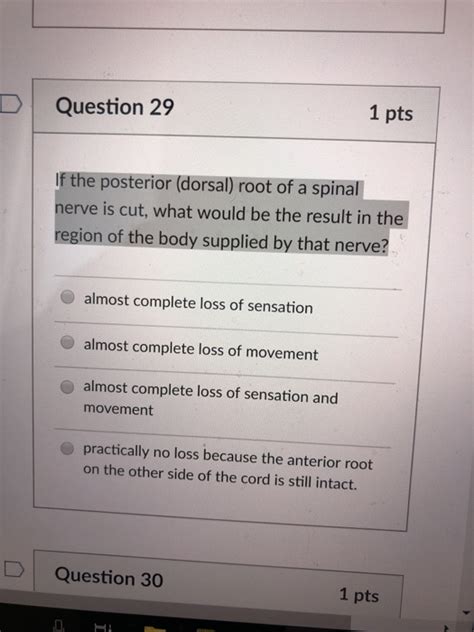 Solved DQuestion 29 1 Pts If The Posterior Dorsal Root Of Chegg