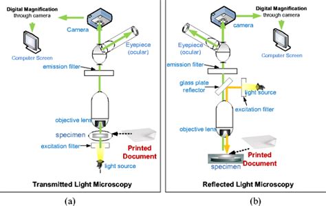 Reflected Light Microscope