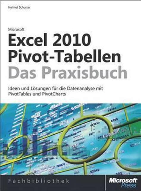 Microsoft Excel 2010 Pivot Tabellen Das Praxisbuch Helmut Schuster