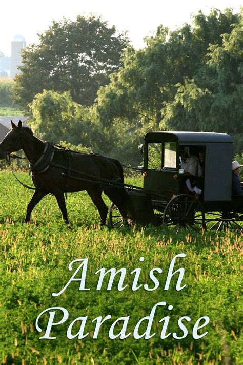 Amish Paradise - Rotten Tomatoes