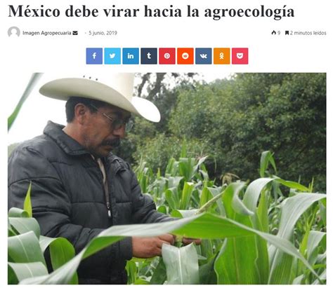 México Debe Virar Hacia La Agroecología Consejo Civil Mexicano Para