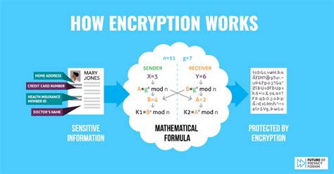 Strong Data Encryption Protects Everyone Fpf Infographic Details