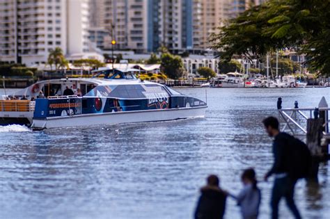 How To See Brisbane By Citycat Queensland