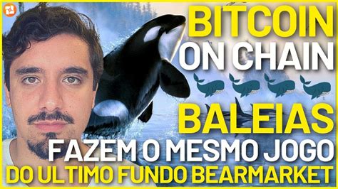 Bitcoin Baleias Mostram O Mesmo Comportamento Do Ltimo Fundo De