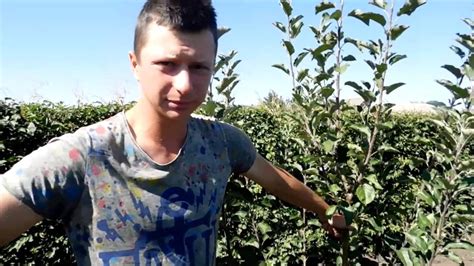 Формировка ЯБЛОНИ с помощью ПРИВИВКИ - YouTube