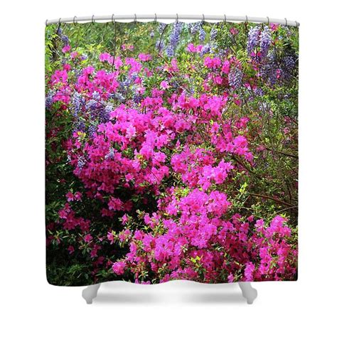 Wisteria And Azalea Shower Curtain By Cynthia Guinn Wisteria Curtains With Rings Curtains