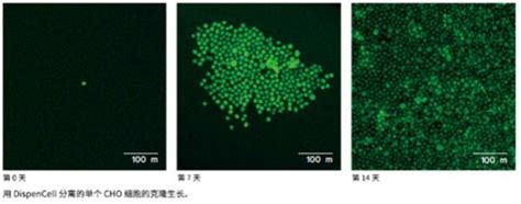 美谷分子仪器发布新品dispencell单细胞分离系统 新品推荐 实验室在线