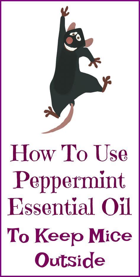 How To Use Peppermint Essential Oil To Repel Mice Naturally Getting Rid Of Mice Peppermint