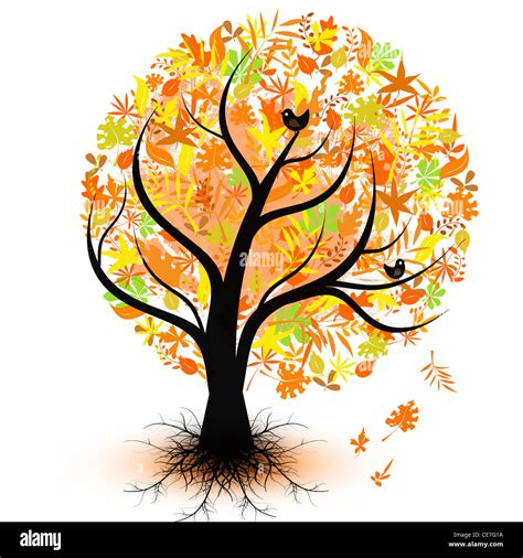 Colorful Autumn Tree Isolated On White Background Stock Photo Alamy