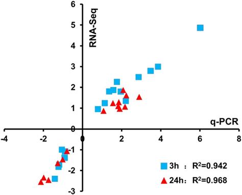 Correlation Between RNA Seq And Real Time QRT PCR Results For RNA Seq