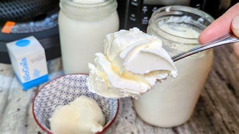 How To Make L Reuteri Yogurt Atcc Pta Using Insta Pot Artofit