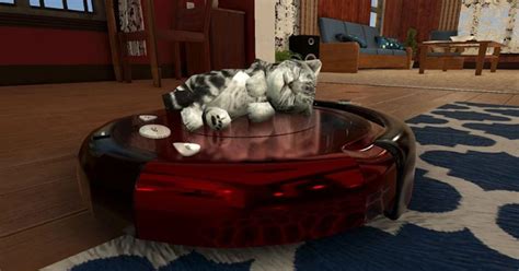 game kucing game kucing  gratis