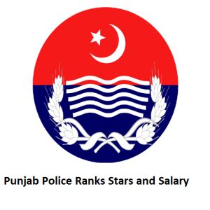 Punjab Police Ranks With Stars and Salary