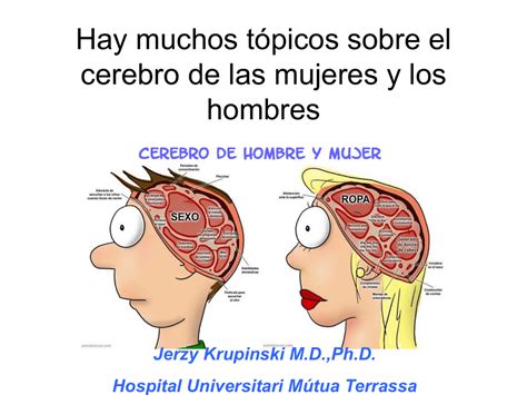 Diferencias Entre El Cerebro De La Mujer Y El Hombre YouTube