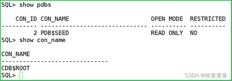 Oracle C Free Oracle Database Preinstall C Csdn