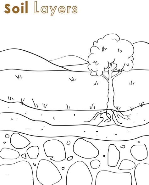 Soil Layers Worksheet For Kids